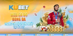 Web Cá Độ Bóng Đá