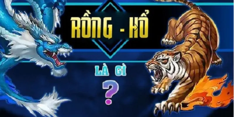 Mẹo nhỏ giúp tăng tỷ lệ thắng trong rồng hổ online tại Kubet