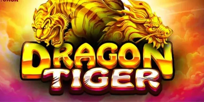 Các loại cược trong rồng hổ online tại Kubet
